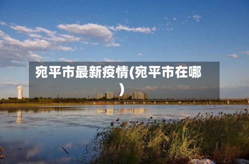 宛平市最新疫情(宛平市在哪)