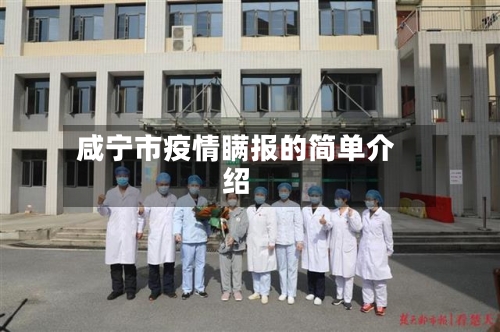 咸宁市疫情瞒报的简单介绍-第2张图片