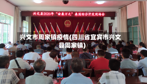 兴文市周家镇疫情(四川省宜宾市兴文县周家镇)