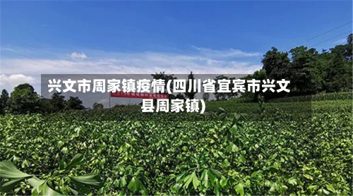 兴文市周家镇疫情(四川省宜宾市兴文县周家镇)-第2张图片