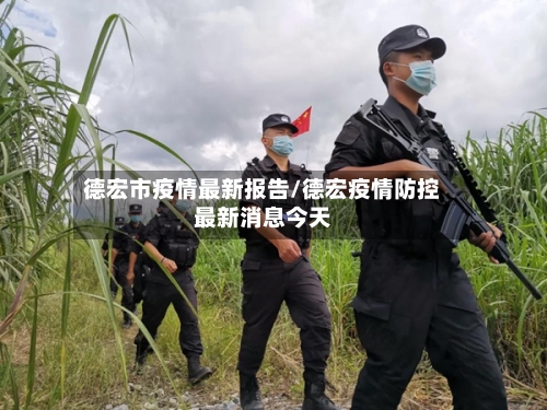 德宏市疫情最新报告/德宏疫情防控最新消息今天-第2张图片