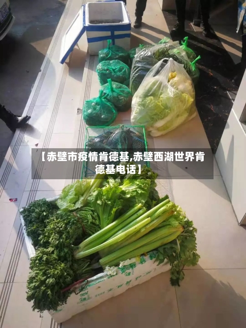 【赤壁市疫情肯德基,赤壁西湖世界肯德基电话】