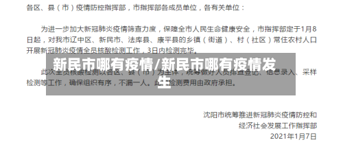 新民市哪有疫情/新民市哪有疫情发生-第2张图片