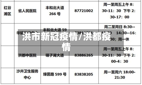 洪市新冠疫情/洪都疫情