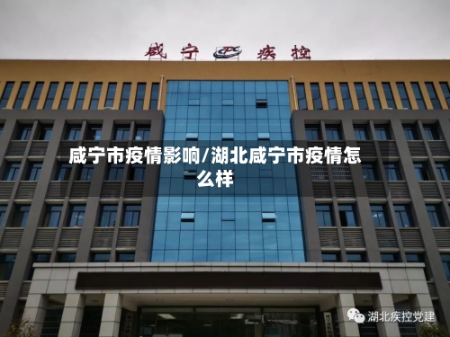 咸宁市疫情影响/湖北咸宁市疫情怎么样