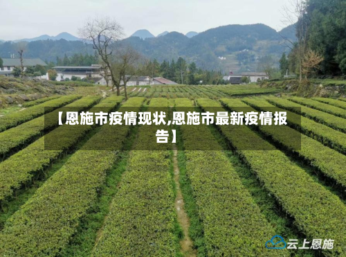 【恩施市疫情现状,恩施市最新疫情报告】-第2张图片