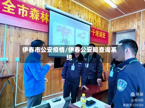 伊春市公安疫情/伊春公安局查询系统-第2张图片