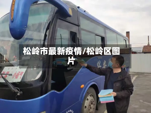 松岭市最新疫情/松岭区图片
