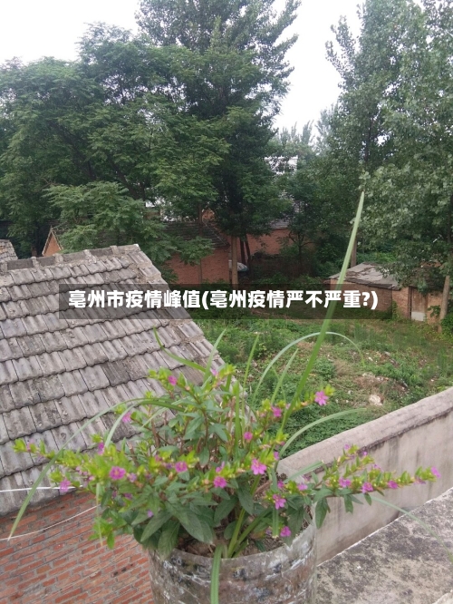亳州市疫情峰值(亳州疫情严不严重?)
