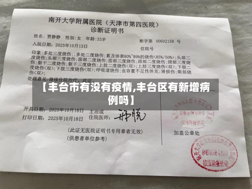 【丰台市有没有疫情,丰台区有新增病例吗】-第2张图片