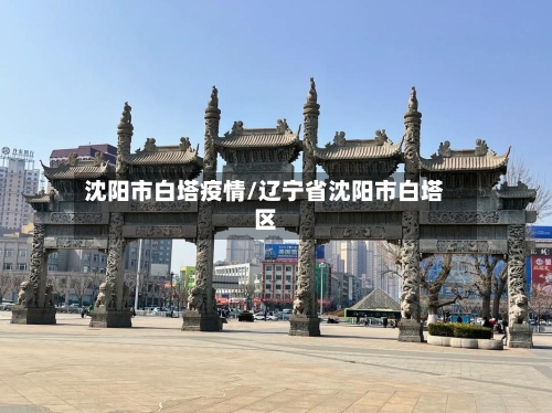 沈阳市白塔疫情/辽宁省沈阳市白塔区-第3张图片