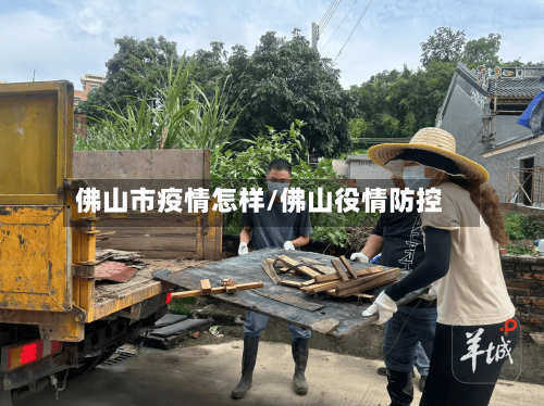 佛山市疫情怎样/佛山役情防控