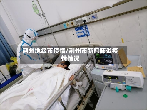 荆州地级市疫情/荆州市新冠肺炎疫情情况