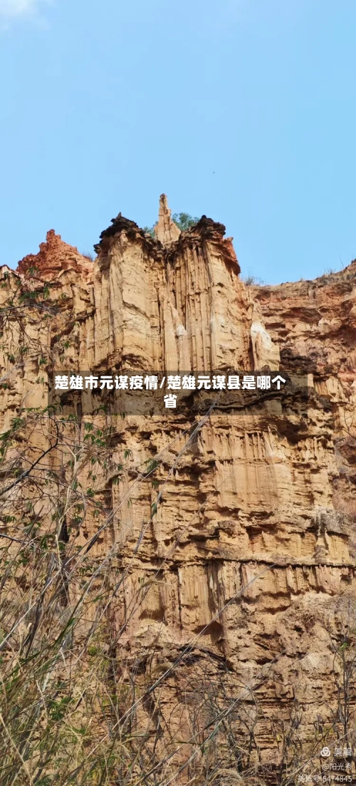 楚雄市元谋疫情/楚雄元谋县是哪个省-第2张图片