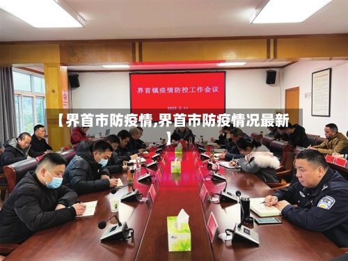 【界首市防疫情,界首市防疫情况最新】-第2张图片