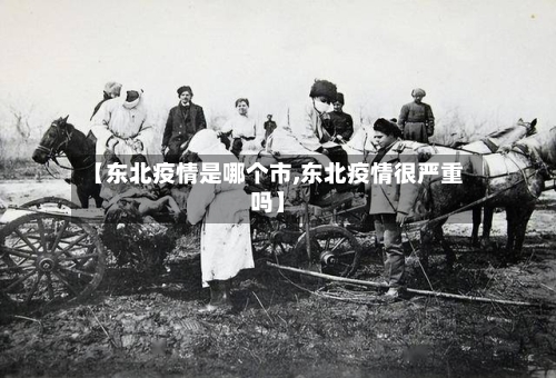【东北疫情是哪个市,东北疫情很严重吗】-第2张图片