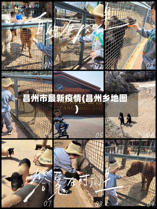 昌州市最新疫情(昌州乡地图)-第3张图片