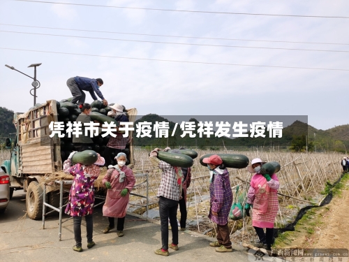 凭祥市关于疫情/凭祥发生疫情