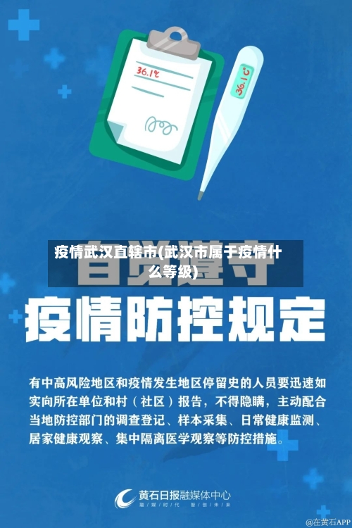 疫情武汉直辖市(武汉市属于疫情什么等级)-第3张图片