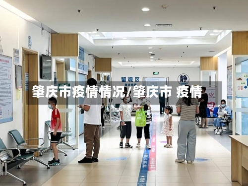 肇庆市疫情情况/肇庆市 疫情