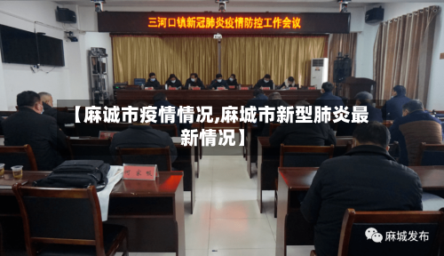 【麻诚市疫情情况,麻城市新型肺炎最新情况】-第3张图片