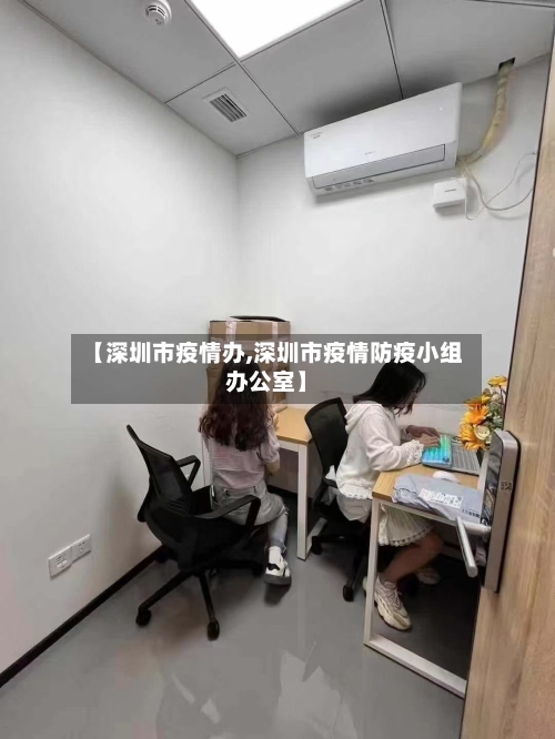 【深圳市疫情办,深圳市疫情防疫小组办公室】
