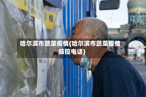 哈尔滨市蔬菜疫情(哈尔滨市蔬菜疫情防控电话)-第2张图片