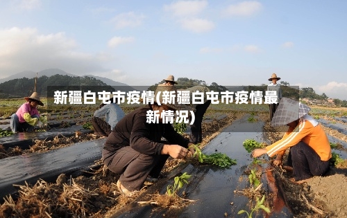 新疆白屯市疫情(新疆白屯市疫情最新情况)-第2张图片