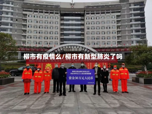 柳市有疫情么/柳市有新型肺炎了吗