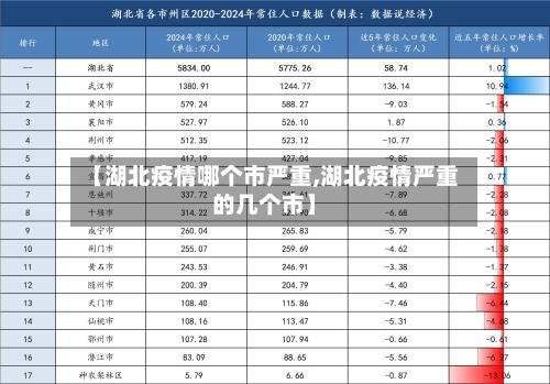 【湖北疫情哪个市严重,湖北疫情严重的几个市】