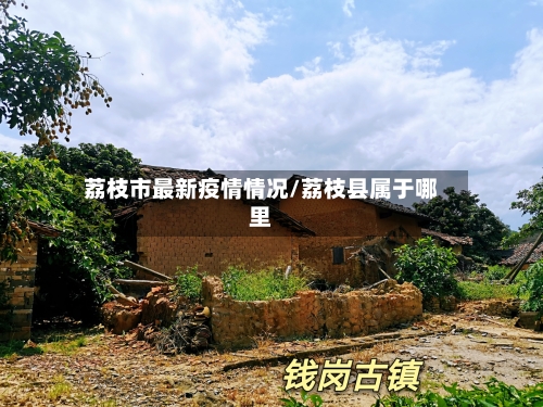 荔枝市最新疫情情况/荔枝县属于哪里