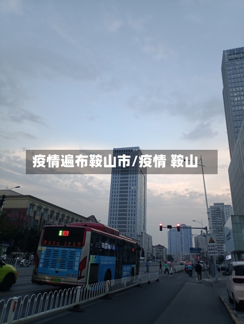 疫情遍布鞍山市/疫情 鞍山-第3张图片