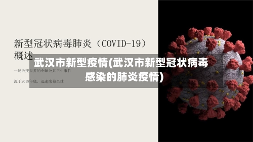 武汉市新型疫情(武汉市新型冠状病毒感染的肺炎疫情)