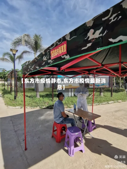 【东方市疫情静态,东方市疫情最新消息】-第3张图片