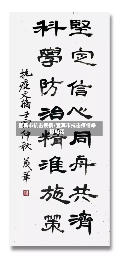 宜宾市抗击疫情/宜宾市抗击疫情举报电话-第2张图片