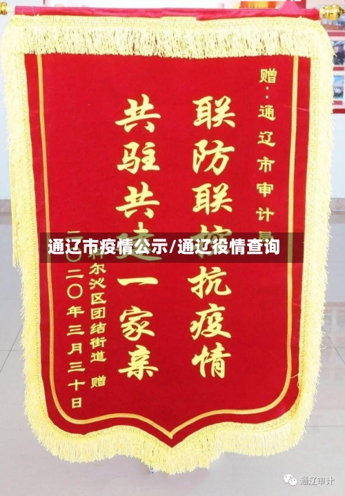 通辽市疫情公示/通辽役情查询