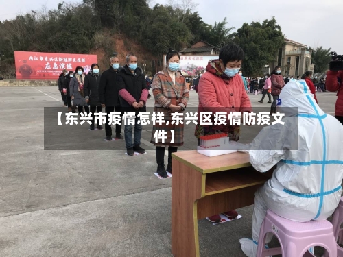 【东兴市疫情怎样,东兴区疫情防疫文件】