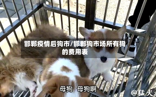 邯郸疫情后狗市/邯郸狗市场所有狗的费用表