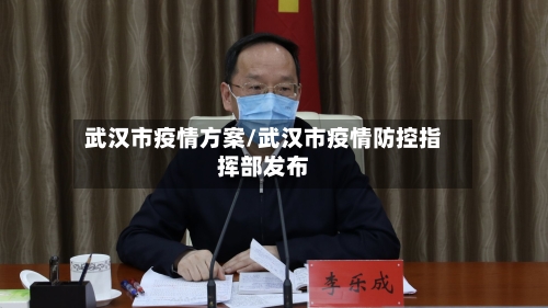 武汉市疫情方案/武汉市疫情防控指挥部发布