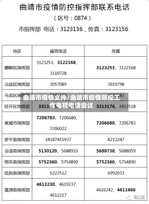 曲靖市疫情文件/曲靖市疫情防控工作电视电话会议