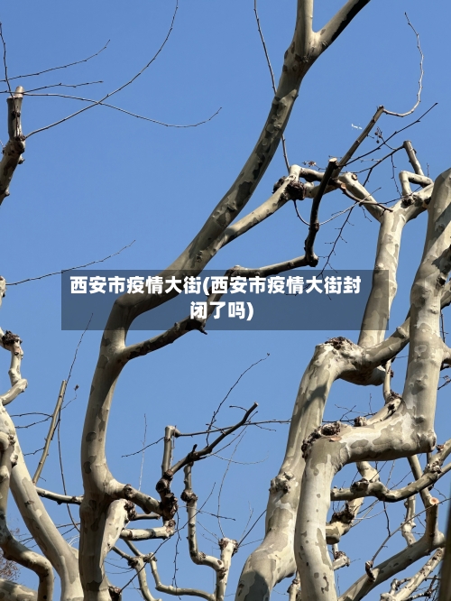 西安市疫情大街(西安市疫情大街封闭了吗)