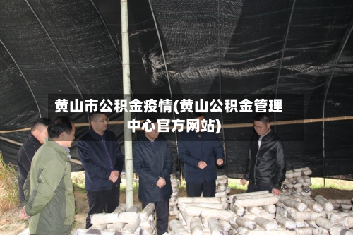 黄山市公积金疫情(黄山公积金管理中心官方网站)-第2张图片