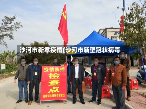 沙河市新章疫情(沙河市新型冠状病毒)