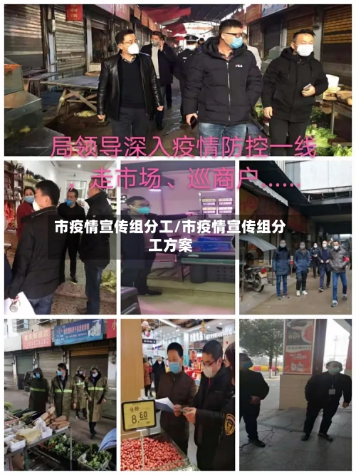 市疫情宣传组分工/市疫情宣传组分工方案-第2张图片