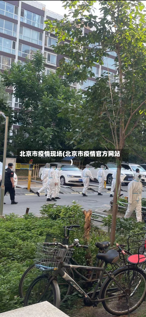 北京市疫情现场(北京市疫情官方网站)
