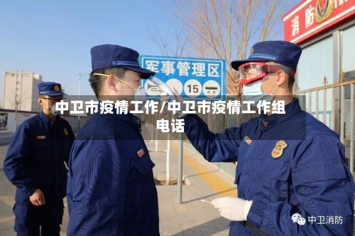 中卫市疫情工作/中卫市疫情工作组电话-第2张图片