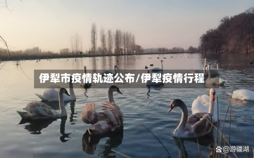 伊犁市疫情轨迹公布/伊犁疫情行程-第2张图片