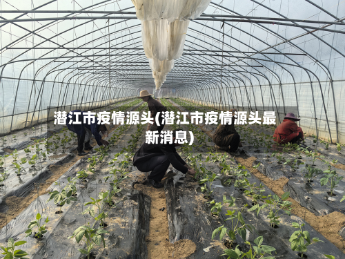潜江市疫情源头(潜江市疫情源头最新消息)