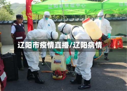 辽阳市疫情直播/辽阳病情