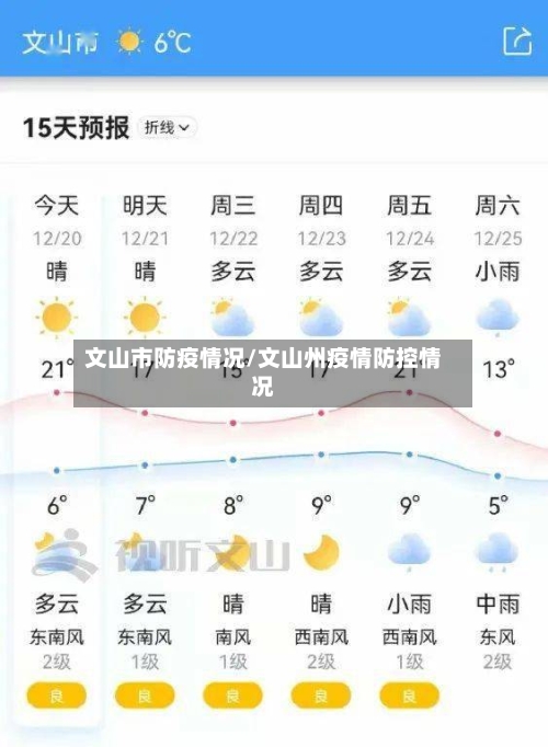 文山市防疫情况/文山州疫情防控情况-第2张图片